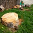 Photo #7: Professional Tree Care Affordable Rates Free Quote
