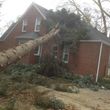 Photo #1: ~TREE SERVICE AND 24 HOUR STORM CLEAN UP~