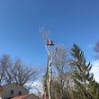 Photo #7: ~TREE SERVICE AND 24 HOUR STORM CLEAN UP~