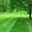 Photo #1: LAWN SERVICE: Mowing, Trimming, Edging, and Blowing