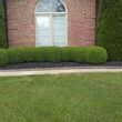 Photo #7: Affordable landscaping
