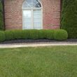 Photo #7: Affordable landscaping
