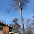Photo #3: WINDY DAY WORRYING YOU?CHEAP TREE REMOVAL AND DISPOSAL!!
