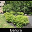 Photo #15: NEED MOWING,BED MULCHING,BUSH TRIMMING,WEEDING, OR YARD CLEANING?CALL!