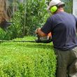 Photo #18: NEED MOWING,BED MULCHING,BUSH TRIMMING,WEEDING, OR YARD CLEANING?CALL!