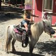 Photo #2: Pony Birthday Parties at a Real Ranch