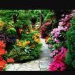 Photo #3: Custom English Gardens by CelticWorks