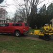 Photo #1: Stump Grinder/Removal service-Lansdale