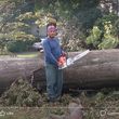 Photo #6: Diaz tree service