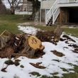 Photo #1: Hansen's Stump Removal