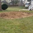 Photo #2: Hansen's Stump Removal