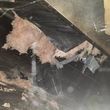 Photo #2: Mobile home crawl repair / underbelly