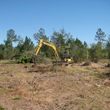 Photo #1: Land Clearing and Excavator work