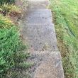 Photo #19: Pressure Washing & Painting Services!!!!!!!