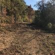 Photo #3: Forestry mulching/Land clearing