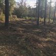 Photo #4: Forestry mulching/Land clearing