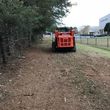 Photo #6: Forestry mulching/Land clearing