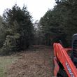 Photo #7: Forestry mulching/Land clearing