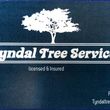 Photo #1: Tyndal Tree Service ( Call for free Estimate )