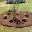 Photo #6: CHRIS ANDERSON LAWN CARE AND LANDSCAPE **