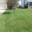 Photo #4: S&H Landscaping