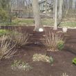 Photo #12: S&H Landscaping