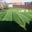 Photo #2: SPRING,SUMMER & FALL LAWN CARE