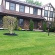 Photo #15: SPRING,SUMMER & FALL LAWN CARE