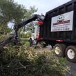 Photo #2: Got tree debris? We will come and pick it up for you