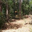 Photo #3: Land Clearing, Bushhogging, Dirt Work, Tractor Service, Debris Removal