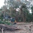 Photo #4: Land Clearing, Bushhogging, Dirt Work, Tractor Service, Debris Removal