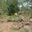 Photo #13: Land Clearing, Bushhogging, Dirt Work, Tractor Service, Debris Removal