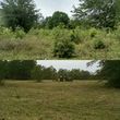 Photo #16: Land Clearing, Bushhogging, Dirt Work, Tractor Service, Debris Removal