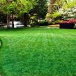 Photo #1: ☆☆☆☆☆Landscaping,Lawn care,Sod,Pinestraw,Mulch