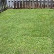 Photo #4: ☆☆☆☆☆Landscaping,Lawn care,Sod,Pinestraw,Mulch