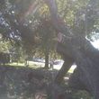 Photo #2: Boondocks tree service