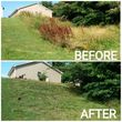 Photo #6: Lawn Care/ Landscaping