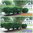 Photo #10: Lawn Care/ Landscaping