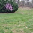 Photo #2: Hodsden Lawncare & landscaping