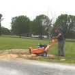 Photo #1: Stump Grinding and Removal by Al