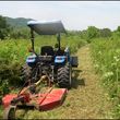 Photo #2: Bush Hogging, Tilling - American Garden Company: Licensed, Insured