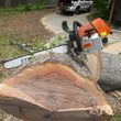 Photo #6: Tree Service ~ Red Fox Tree Service~