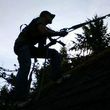 Photo #1: (Cliff) ROOF CLEANING~GUTTER CLEANING~WINDOW CLEANING~PRESSURE WASHING