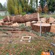 Photo #1: TREE AND STUMP REMOVAL