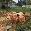 Photo #8: TREE AND STUMP REMOVAL