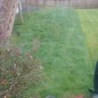 Photo #3: LAWN CARE AND MAINTENANCE