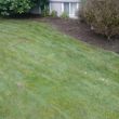 Photo #6: LAWN CARE AND MAINTENANCE