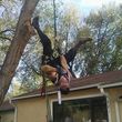 Photo #1: THE WRIGHT TREE SERVICE & MORE