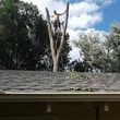 Photo #3: THE WRIGHT TREE SERVICE & MORE