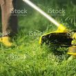 Photo #1: Lawn care Maintanance services,